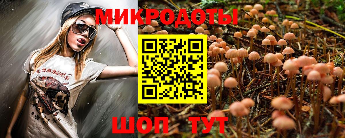 Псилоцибиновые грибы Psilocybe Кулебаки